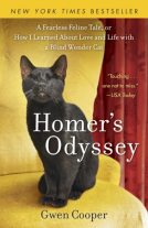 book cover for Homer's Odyssey NEW EDITION