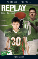 book cover for Replay
