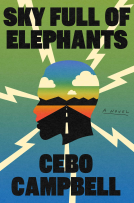 book cover for Sky Full of Elephants