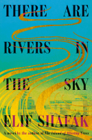 book cover for There Are Rivers in the Sky