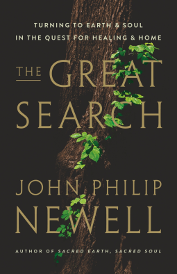 book cover for The Great Search