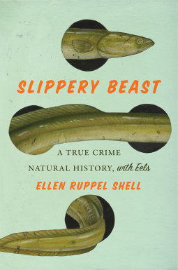 book cover for Slippery Beast