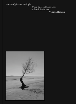 book cover for Into the Quiet and the Light