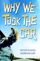 book cover for Why We Took the Car