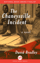 book cover for The Chaneysville Incident