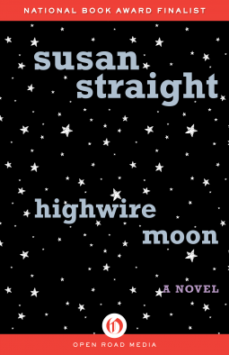 book cover for Highwire Moon