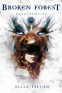 Cover Image: Broken Forest (Daath Chronicles #1)