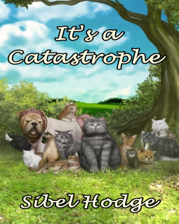 book cover for It's a Catastrophe