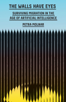 book cover for The Walls Have Eyes
