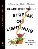 book cover for Streak of Lightning