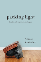 book cover for Packing Light