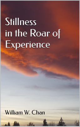 book cover for Stillness in the Roar of Experience