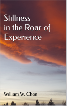 book cover for Stillness in the Roar of Experience