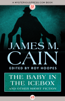 book cover for The Baby in the Icebox