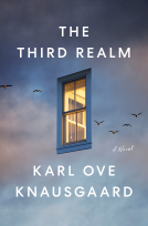 book cover for The Third Realm