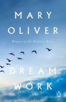book cover for Dream Work