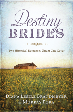 book cover for Destiny Brides