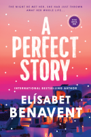 book cover for A Perfect Story