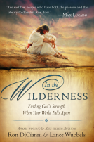 book cover for In The Wilderness