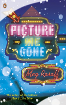 book cover for Picture Me Gone