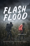 Cover Image: Flash Flood