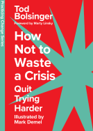 book cover for How Not to Waste a Crisis