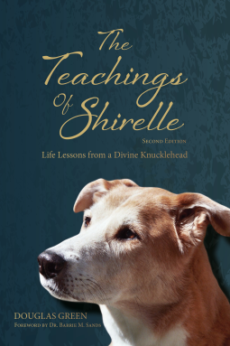 book cover for The Teachings of Shirelle