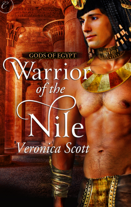 book cover for Warrior of the Nile