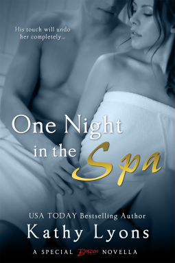 book cover for One Night in the Spa