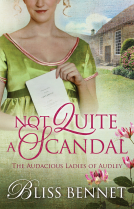 book cover for Not Quite a Scandal