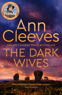 book cover for The Dark Wives