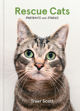 book cover for Rescue Cats