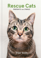 book cover for Rescue Cats