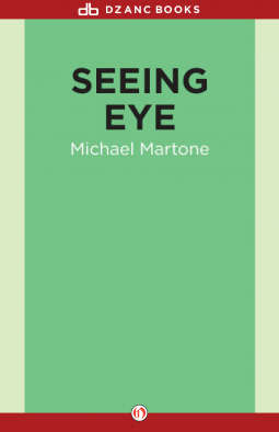 book cover for Seeing Eye