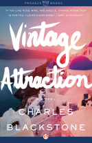 book cover for Vintage Attraction