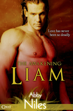 book cover for The Awakening: Liam