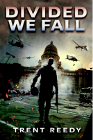 book cover for Divided We Fall Trilogy: Book 1