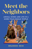 book cover for Meet the Neighbors