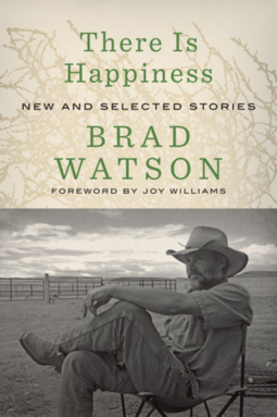 book cover for There Is Happiness