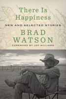 book cover for There Is Happiness