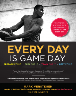 book cover for Every Day Is Game Day