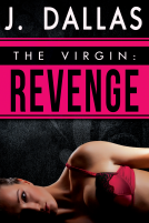 book cover for The Virgin (Book 1)