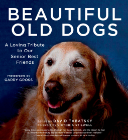 book cover for Beautiful Old Dogs