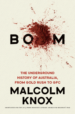 book cover for Boom