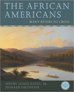 book cover for THE AFRICAN AMERICANS