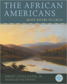 book cover for THE AFRICAN AMERICANS