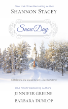 book cover for Snow Day