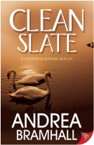 book cover for Clean Slate