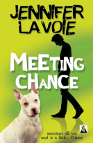 book cover for Meeting Chance