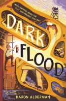 book cover for Dark Flood